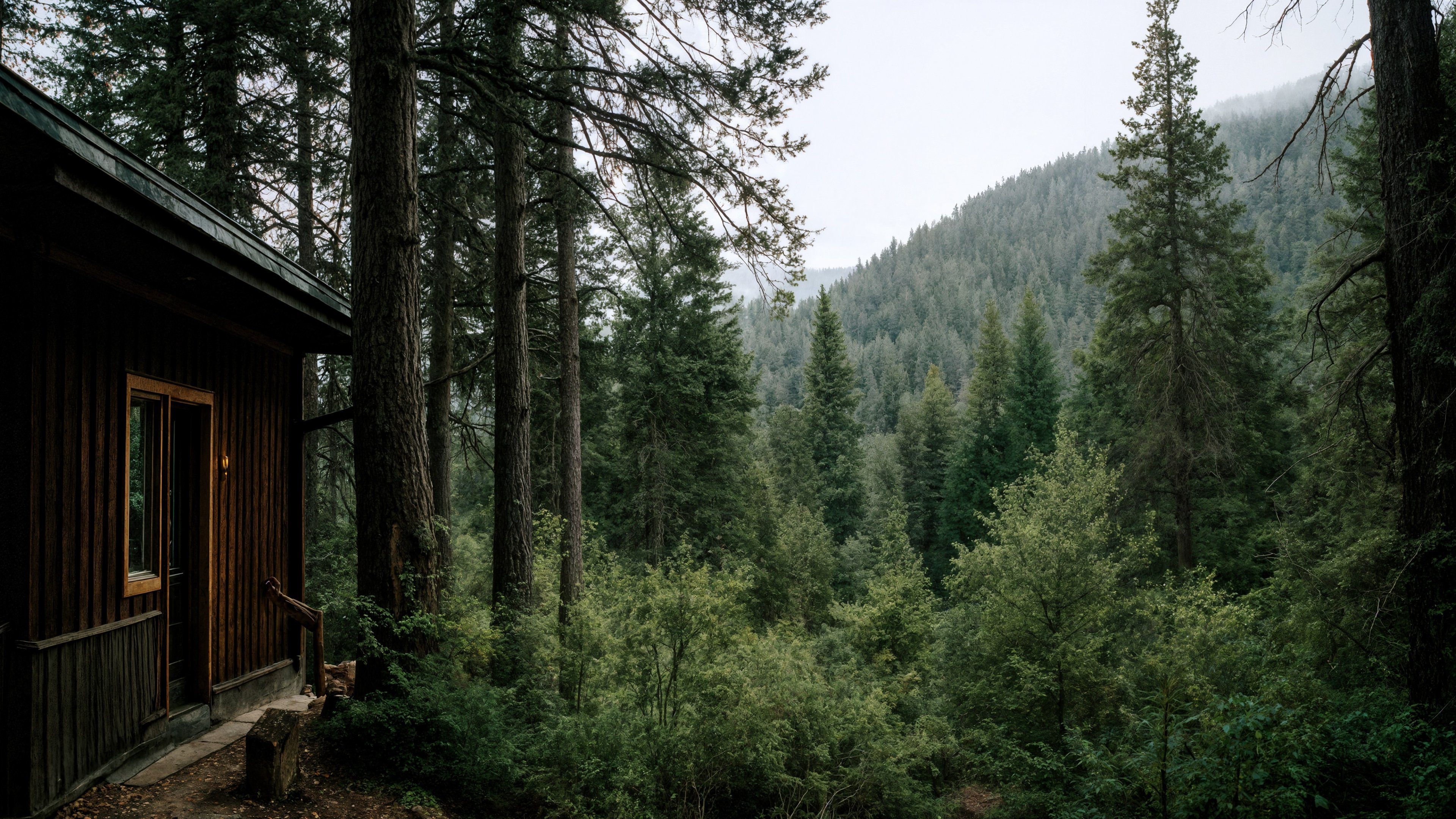 NOTICIAS DE TRANSPORTE